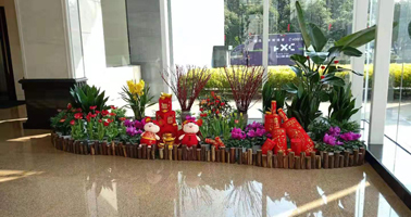 多場景專業綠植租賃