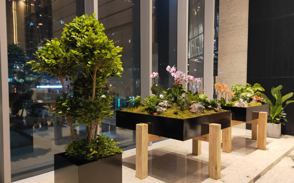 物業大樓綠植租賃