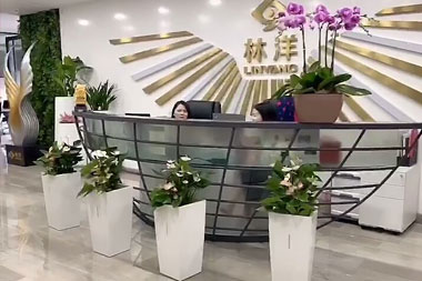 林洋集團(tuán)
